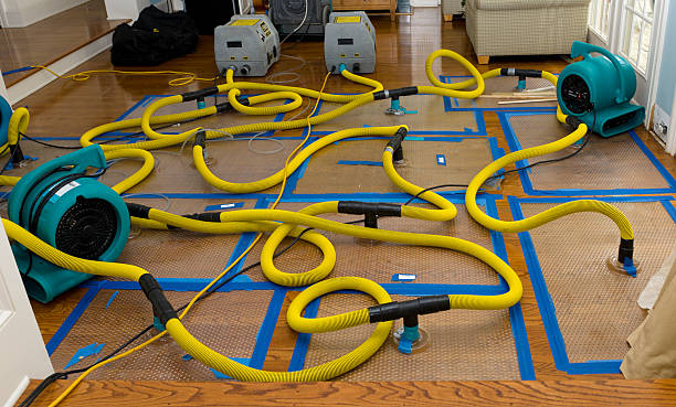 Professional Sewage Cleanup technician working in Franklin, MA